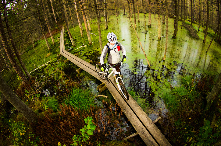 EU- støtte til The Scandinavian 8 million city